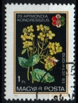 Stamps Hungary -  APIMONDIA'83