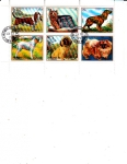 Stamps United Arab Emirates -  PERROS DE RAZA