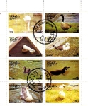 Stamps Oman -  AVES