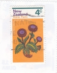 Stamps New Zealand -  plantas alpinas