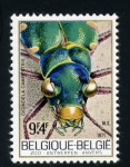 Stamps Belgium -  Aniversario del zoo