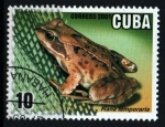 Stamps Cuba -  Piscicultura
