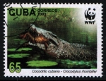 Sellos de America - Cuba -  WWF- Cocodrilo cubano