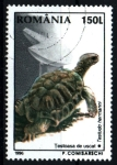 Stamps Romania -  serie- Fauna rumana