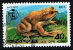 Stamps North Korea -  serie- Ranas y sapos