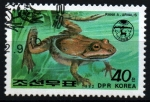 Stamps North Korea -  serie- Ranas y sapos