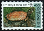 Sellos de Africa - Togo -  serie- Tortugas