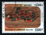 Stamps Cambodia -  Micrurus fulvius