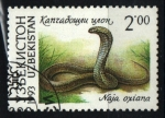 Stamps Asia - Uzbekistan -  serie- Fauna del país