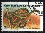 Stamps : Asia : Kyrgyzstan :  serie- Reptiles