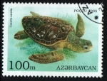 Stamps Azerbaijan -  serie- Tortugas