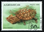 Sellos de Asia - Azerbaiy�n -  serie- Tortugas