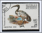 Stamps Madagascar -  Aves, Hreskiornis aethiopicus