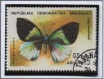 Sellos de Africa - Madagascar -  Mariposas, Alcidis aurora