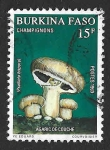 Stamps Burkina Faso -  897 - Champiñón Silvestre