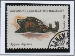Stamps Madagascar -  Moluscos, Aplysia depal Benz
