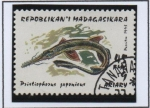 Stamps Madagascar -  Tiburones: Pristiophorus Japonicus
