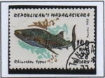 Stamps Madagascar -  Tiburones: Rincodon typus