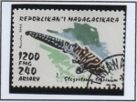 Stamps Madagascar -  Tiburones: Stegos toma tigrinum