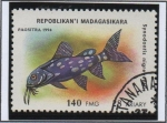 Stamps Madagascar -  Peces d' Acuario: Synodontis Benz