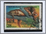 Stamps Madagascar -  Panthera león