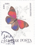 Stamps Hungary -  Mariposa