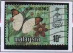 Sellos de Asia - Malasia -  Mariposas, Hebomoia glaucippe aturia