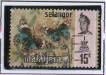 Sellos del Mundo : Asia : Malasia : Mariposas, Precis orithya wallacei