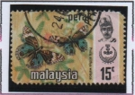 Stamps Malaysia -  Durio Zibethinus