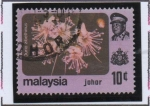 Stamps : Asia : Malaysia :  Durio Zibethinus