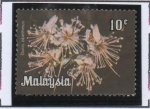 Stamps : Asia : Malaysia :  Durio Zibethinus