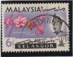 Stamps Malaysia -  Orquídeas, Spathologlottis plicata