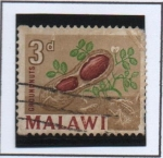 Stamps Malawi -  Cacahuetes