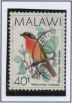 Stamps Malawi -  Pajaros; Negro-Dado