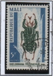Stamps Mali -  Insectos, Chelorrhina polyphemus