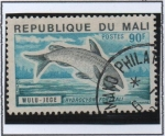 Stamps Mali -  Peces, Hydrocyon forskali