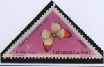 Stamps Mali -  Mariposas, Colotis antevippe
