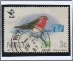 Stamps Malta -  25 Anv. Sociedad Ornithological, Erithacus rubecula