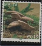 Sellos de Europa - Malta -  Setas:Seta de cardo. Pleurotus eryngii