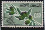 Stamps Morocco -  Rama d' Olivo con frutos