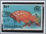 Stamps : Africa : Mauritius :  peces: Cephalopholis sonnerati