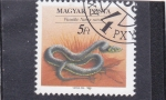 Stamps Hungary -  serpiente