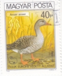Stamps Hungary -  ANSAR