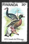 Stamps Rwanda -  897 - Patos