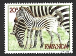 Stamps : Africa : Rwanda :  1199 - Cebras