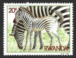 Stamps : Africa : Rwanda :  1199 - Cebras