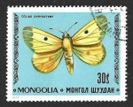 Stamps Mongolia -  984 - Colias Común