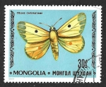 Stamps Mongolia -  984 - Colias Común