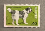Stamps Romania -  Perro ciobanesc