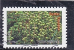 Stamps France -  Dátiles